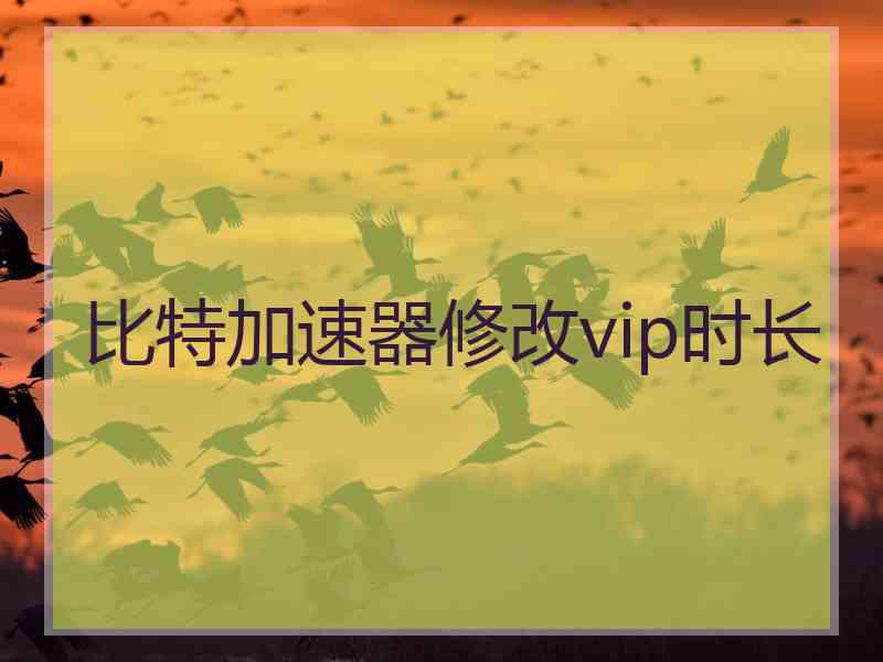 比特加速器修改vip时长