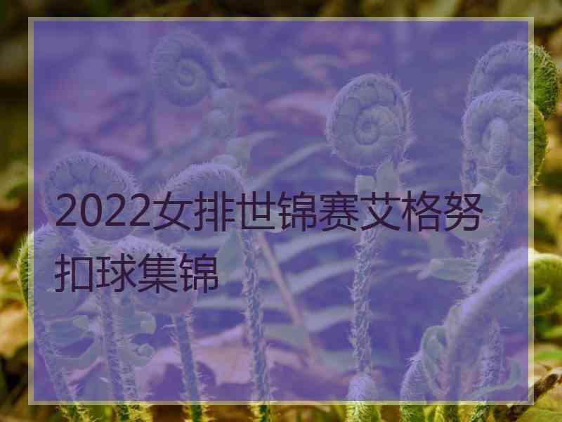 2022女排世锦赛艾格努扣球集锦