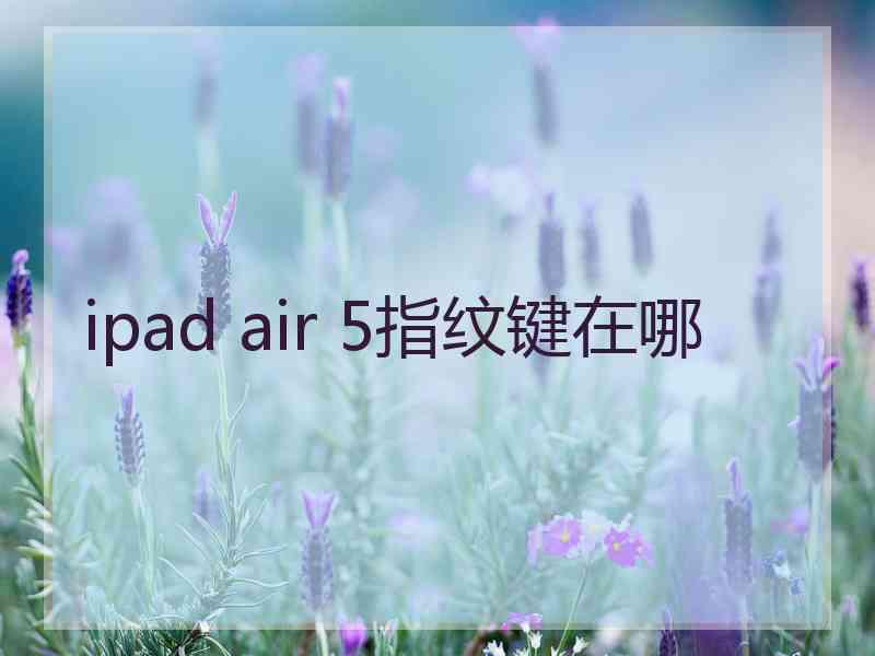 ipad air 5指纹键在哪