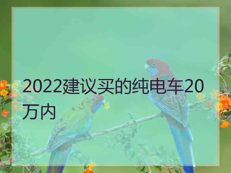 2022建议买的纯电车20万内