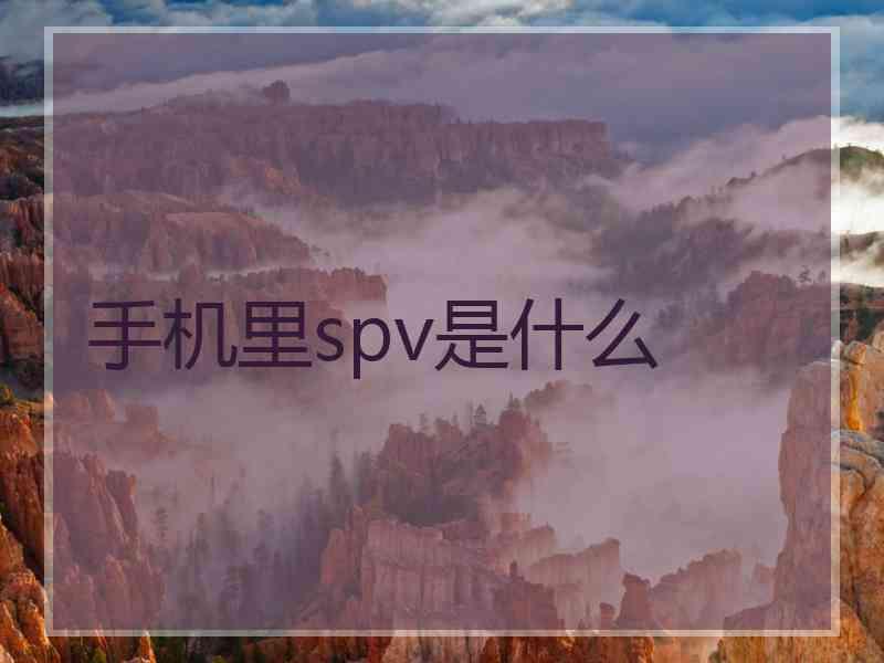 手机里spv是什么