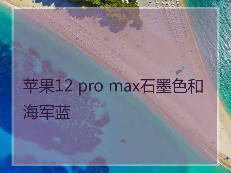 苹果12 pro max石墨色和海军蓝