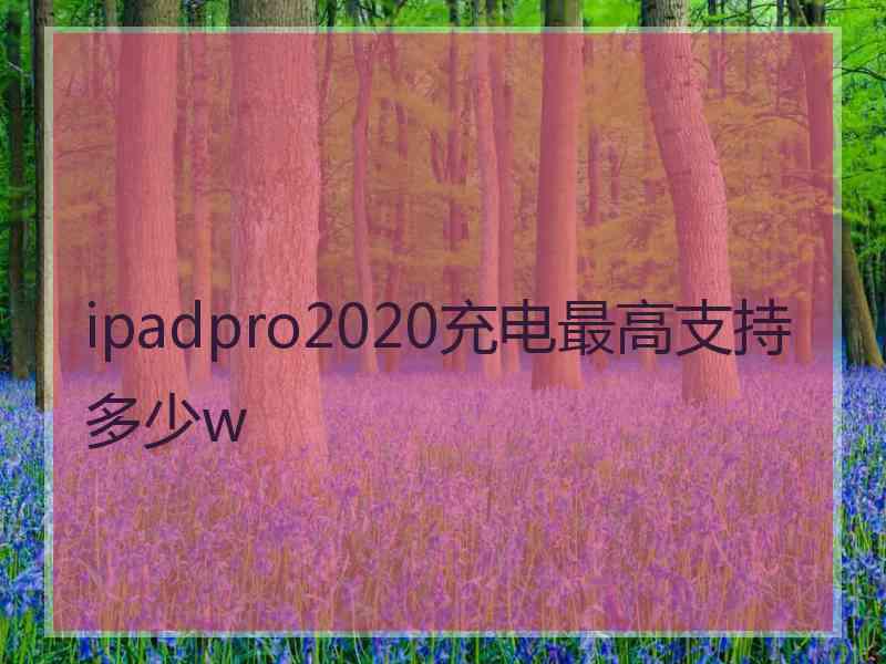 ipadpro2020充电最高支持多少w