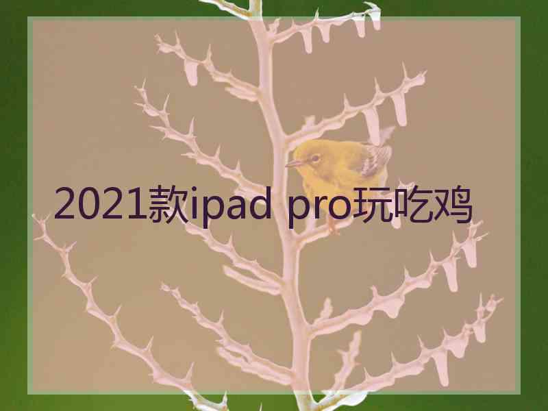 2021款ipad pro玩吃鸡