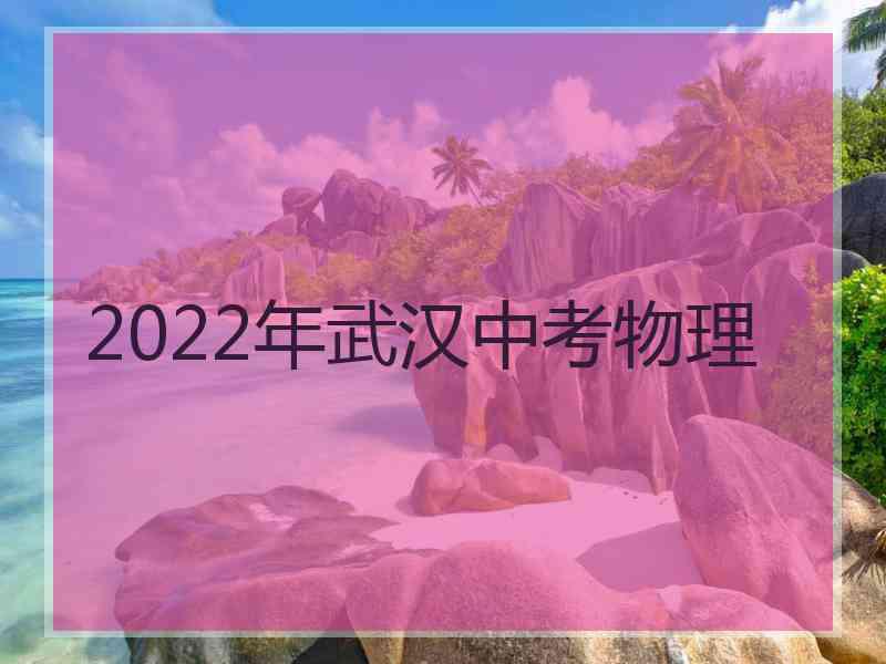 2022年武汉中考物理