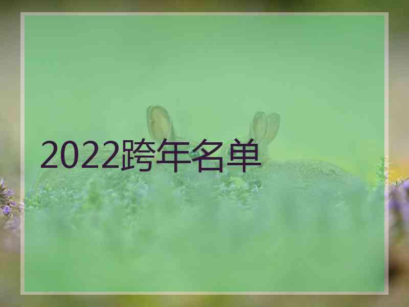 2022跨年名单