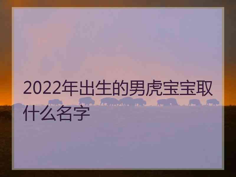 2022年出生的男虎宝宝取什么名字