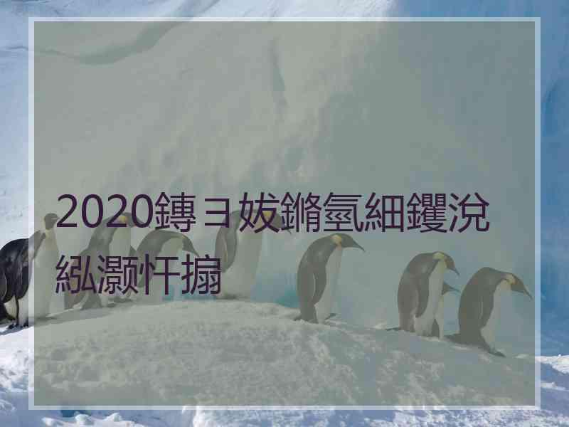 2020鏄ヨ妭鏅氫細钁涗紭灏忓搧