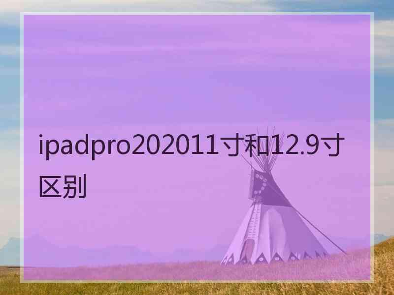 ipadpro202011寸和12.9寸区别