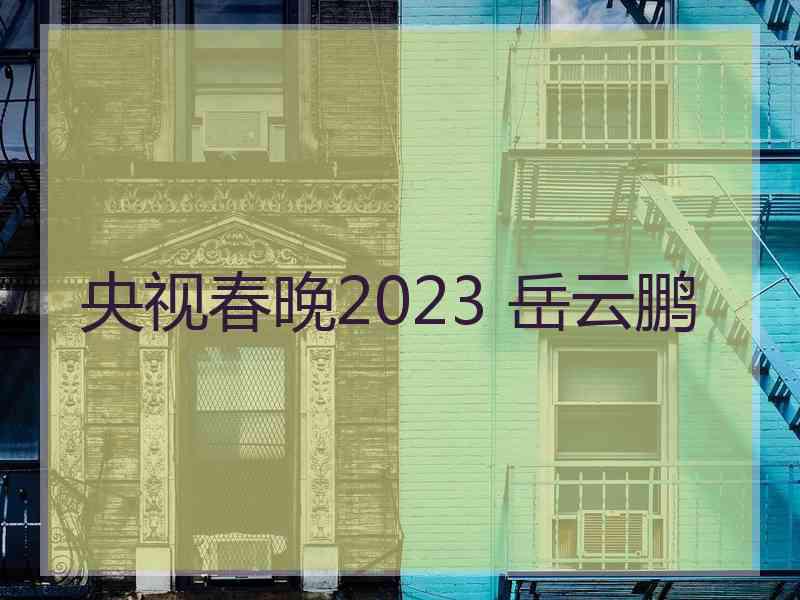 央视春晚2023 岳云鹏