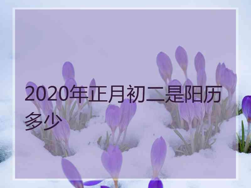 2020年正月初二是阳历多少