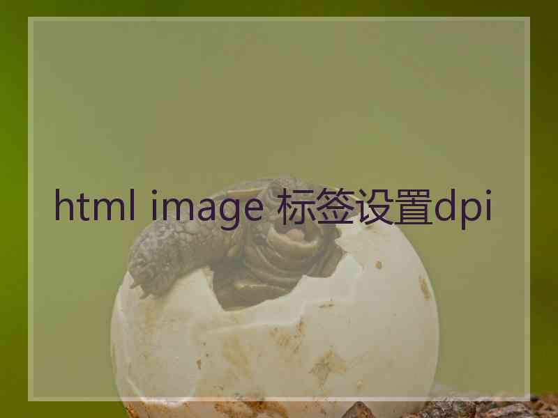 html image 标签设置dpi