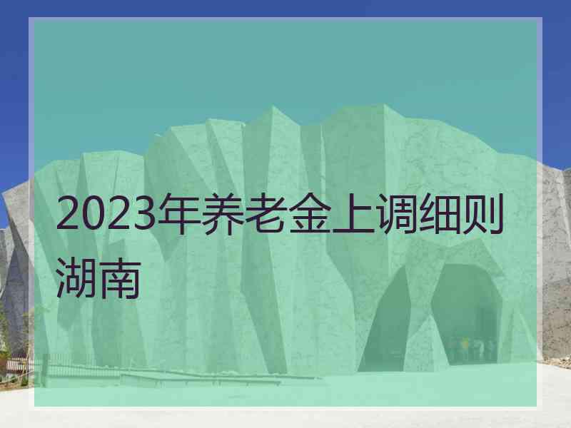 2023年养老金上调细则湖南