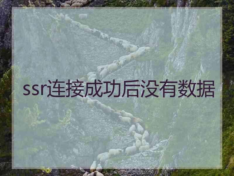 ssr连接成功后没有数据