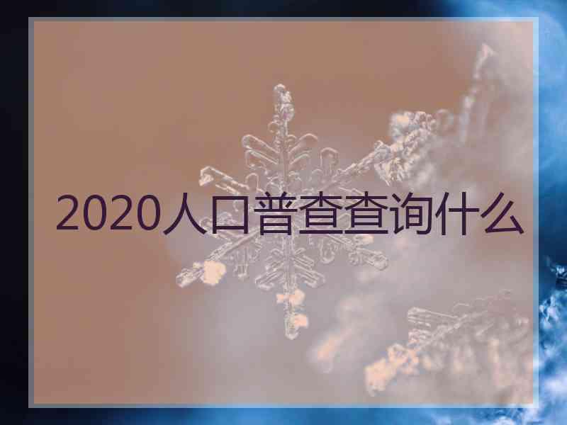 2020人口普查查询什么