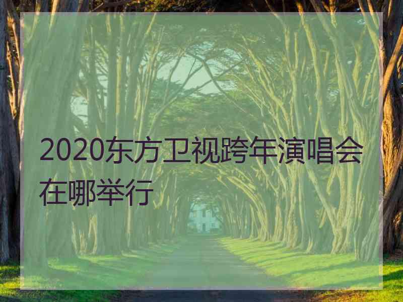 2020东方卫视跨年演唱会在哪举行