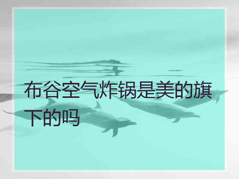 布谷空气炸锅是美的旗下的吗