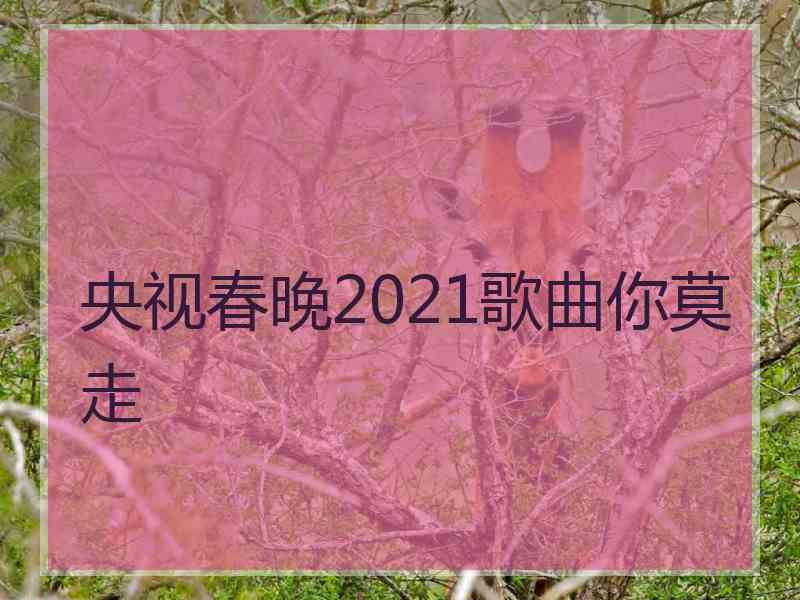 央视春晚2021歌曲你莫走