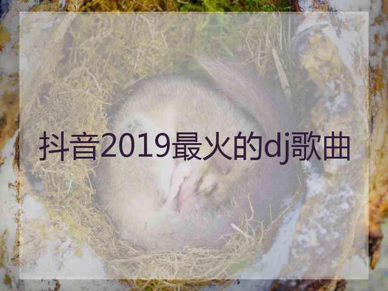 抖音2019最火的dj歌曲