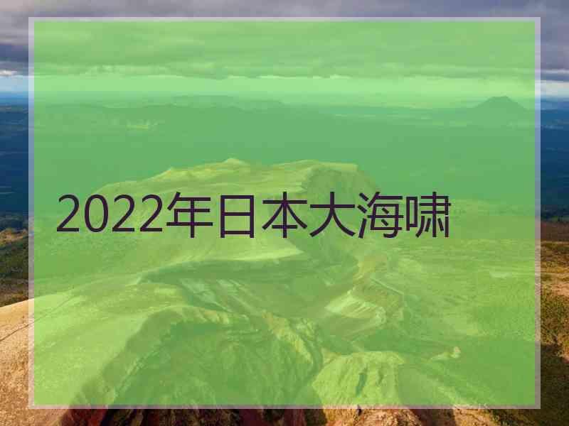 2022年日本大海啸