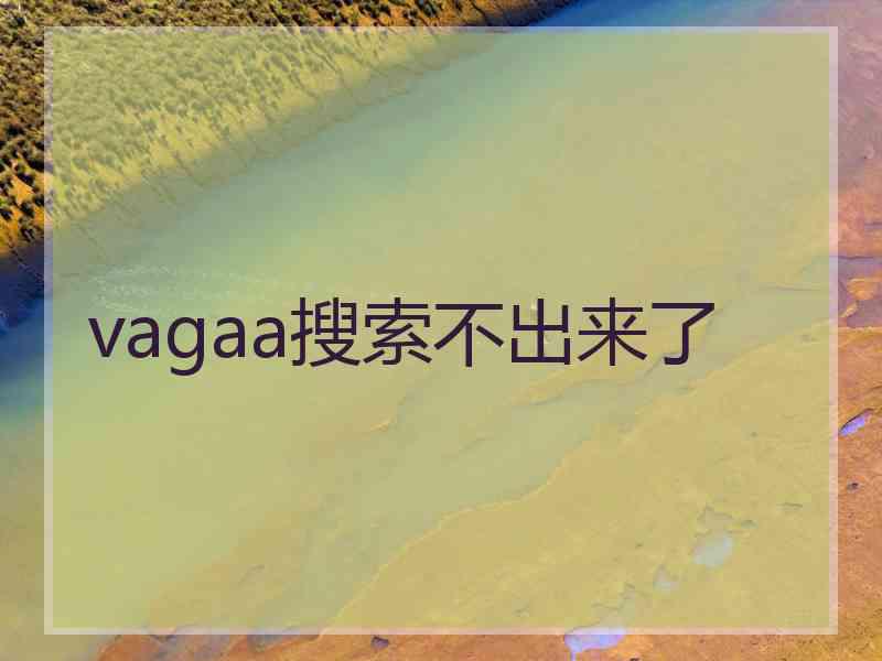 vagaa搜索不出来了