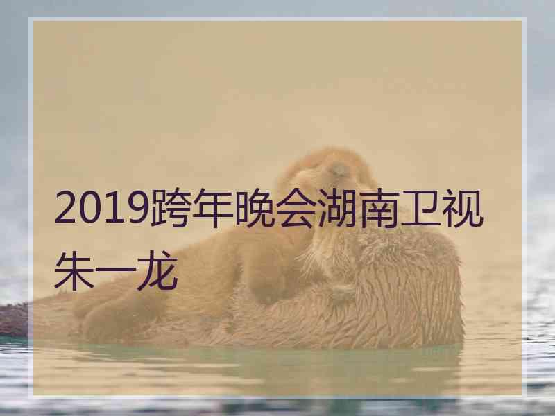 2019跨年晚会湖南卫视朱一龙