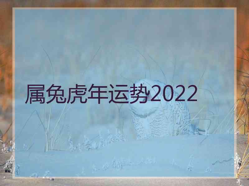 属兔虎年运势2022