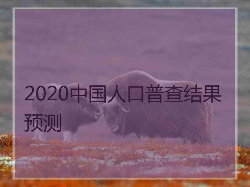 2020中国人口普查结果预测