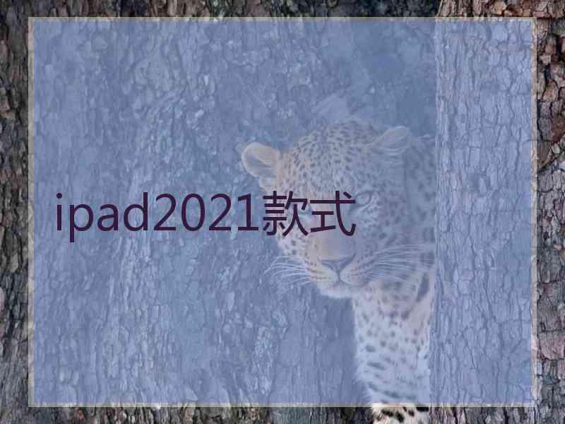 ipad2021款式