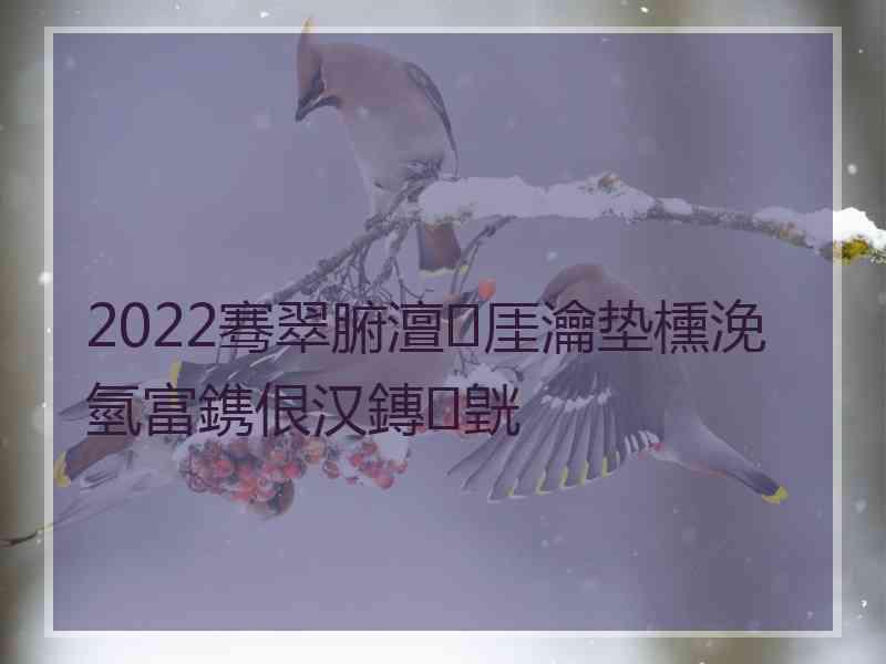 2022骞翠腑澶厓瀹垫櫄浼氫富鎸佷汉鏄皝