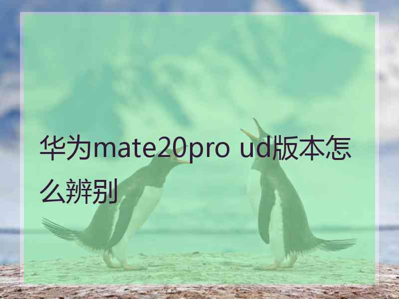 华为mate20pro ud版本怎么辨别