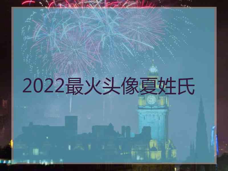 2022最火头像夏姓氏