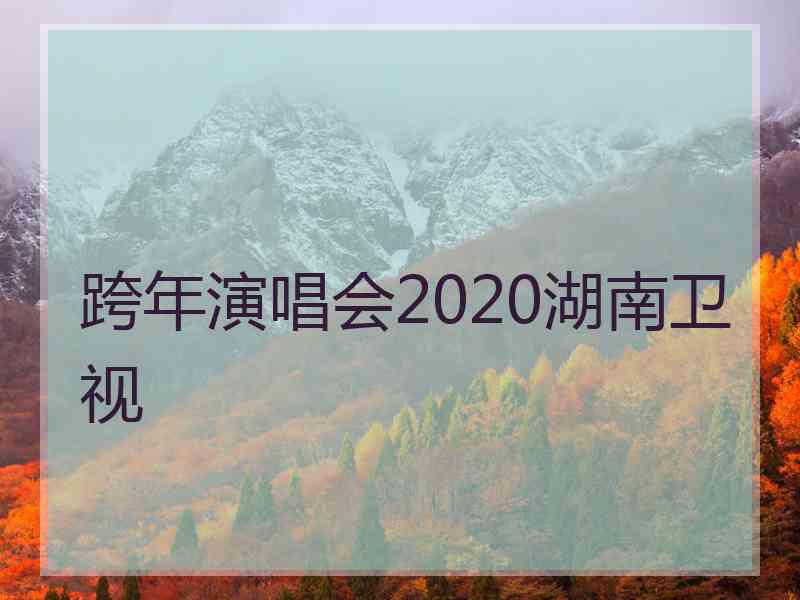 跨年演唱会2020湖南卫视