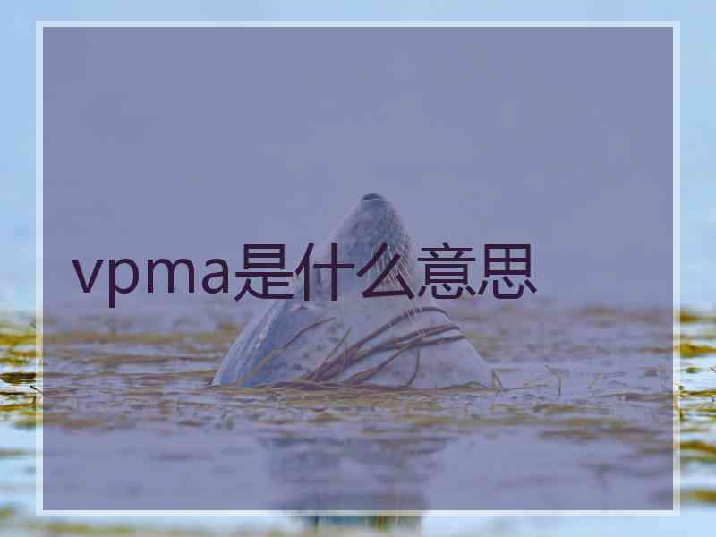 vpma是什么意思