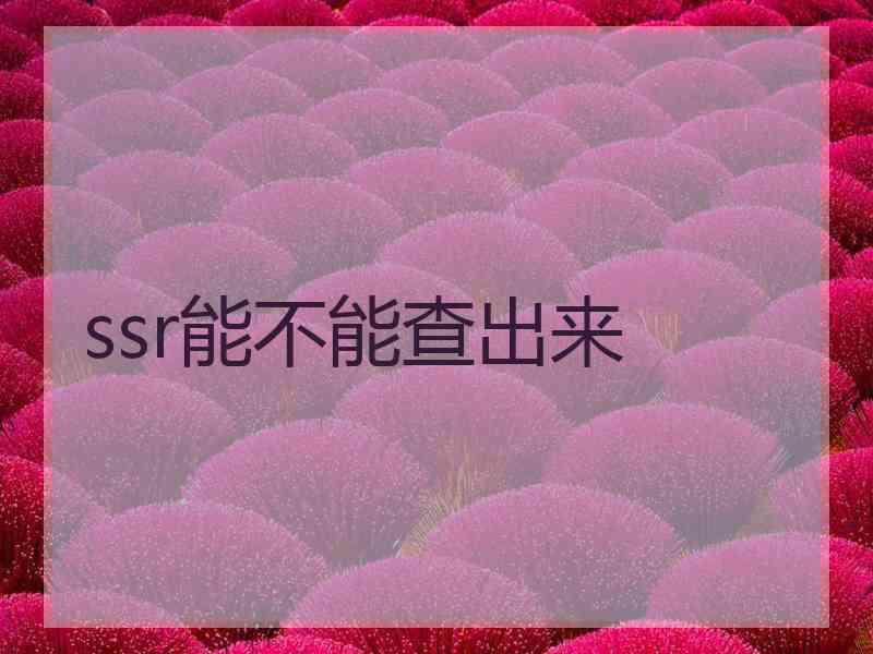 ssr能不能查出来