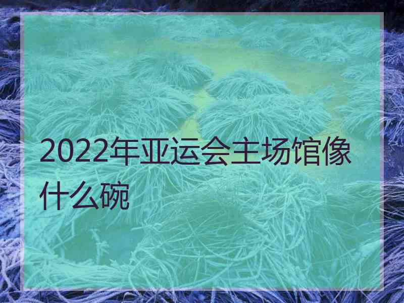 2022年亚运会主场馆像什么碗