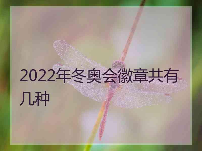 2022年冬奥会徽章共有几种