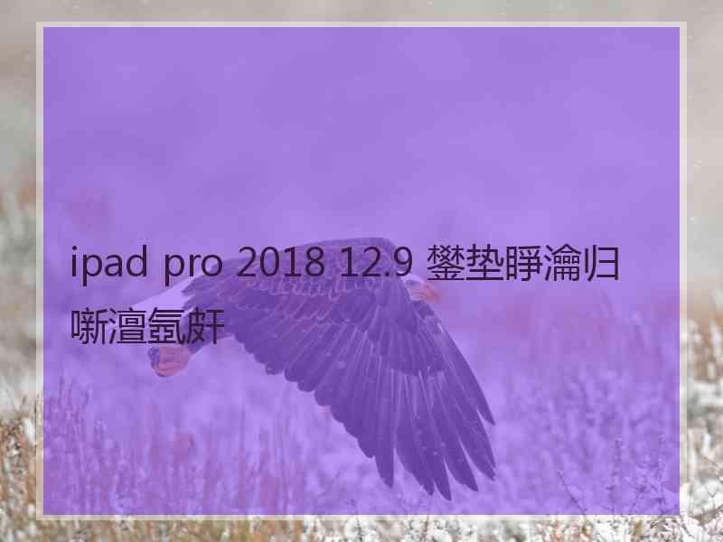 ipad pro 2018 12.9 鐢垫睜瀹归噺澶氬皯