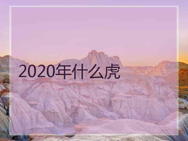 2020年什么虎