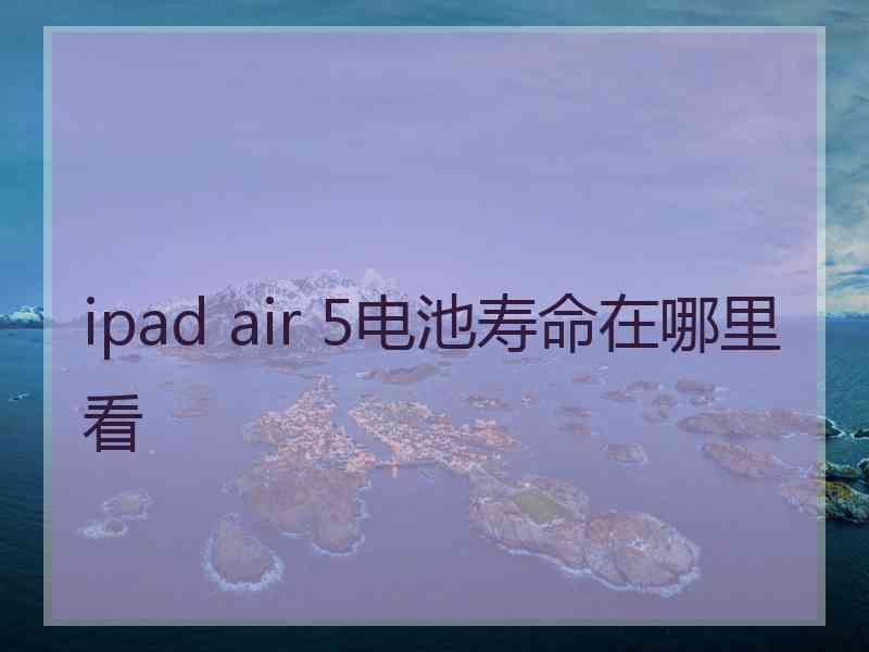 ipad air 5电池寿命在哪里看