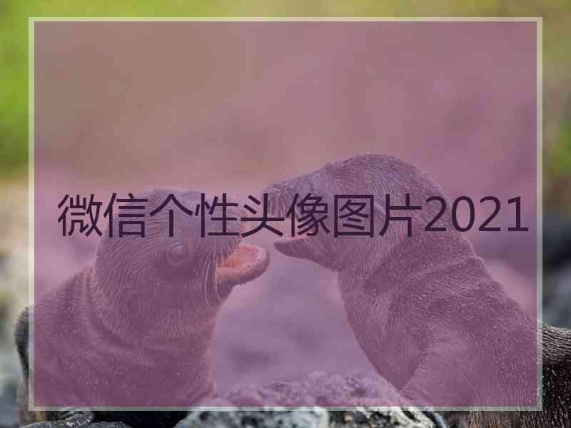 微信个性头像图片2021