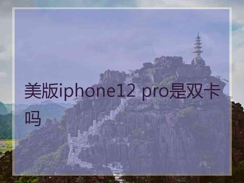 美版iphone12 pro是双卡吗