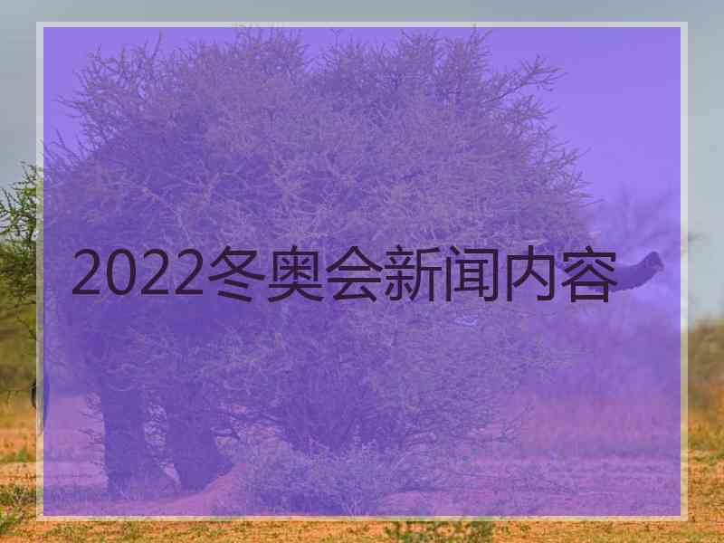 2022冬奥会新闻内容