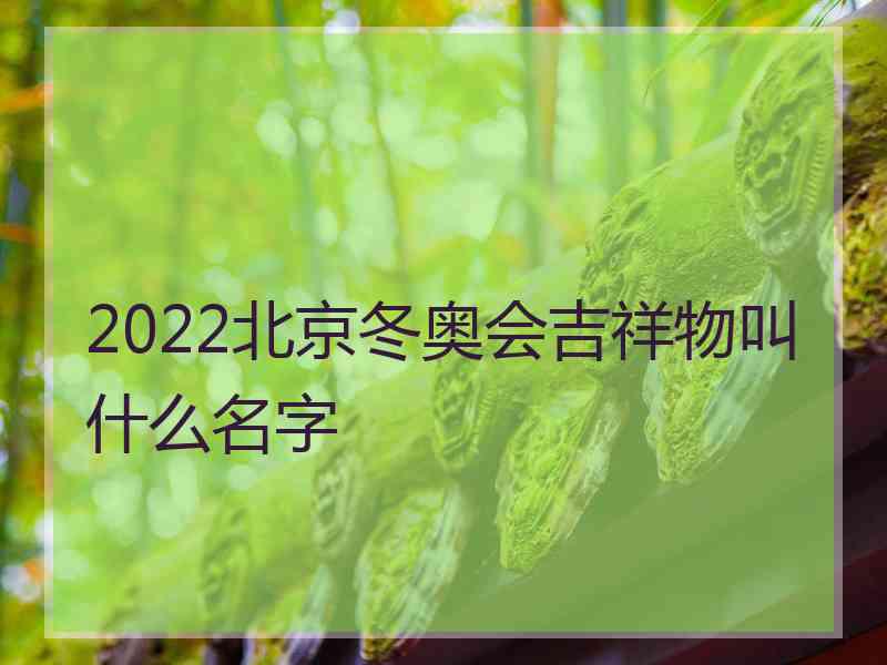 2022北京冬奥会吉祥物叫什么名字