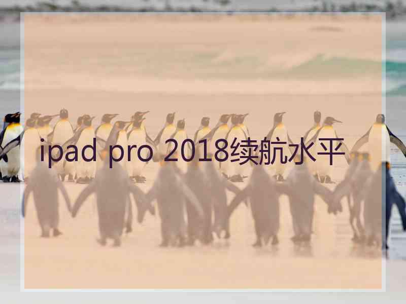 ipad pro 2018续航水平