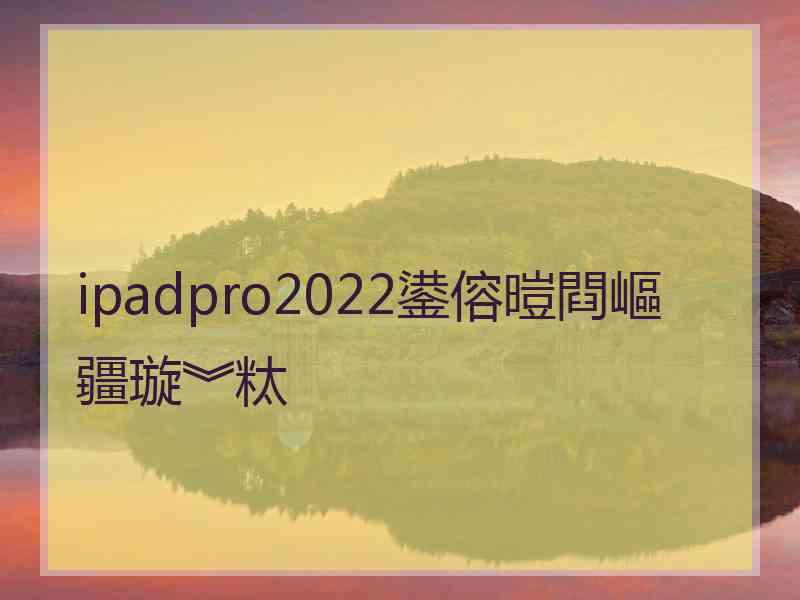 ipadpro2022鍙傛暟閰嶇疆璇︾粏