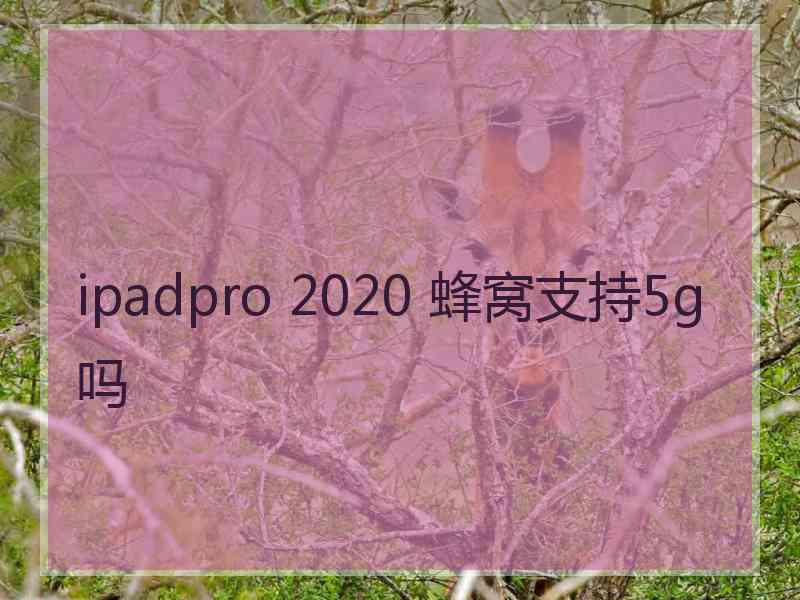 ipadpro 2020 蜂窝支持5g吗