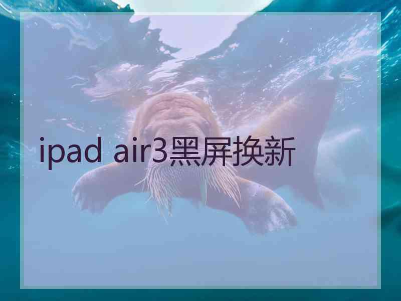 ipad air3黑屏换新