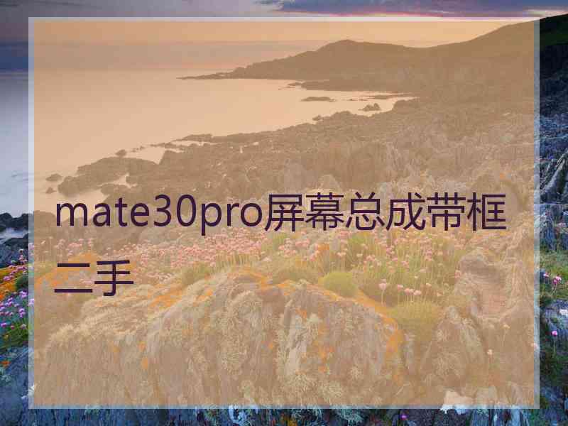 mate30pro屏幕总成带框二手