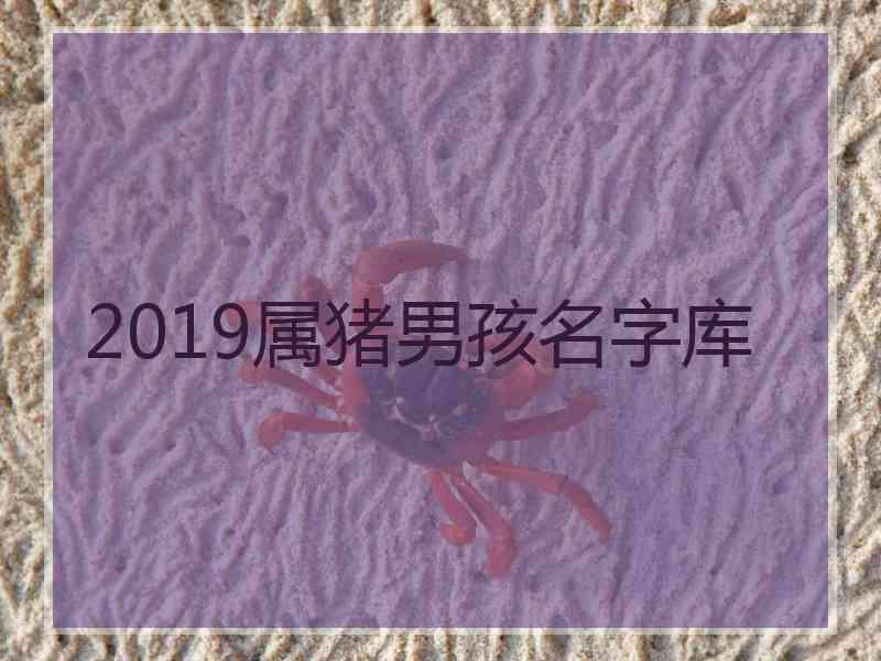 2019属猪男孩名字库